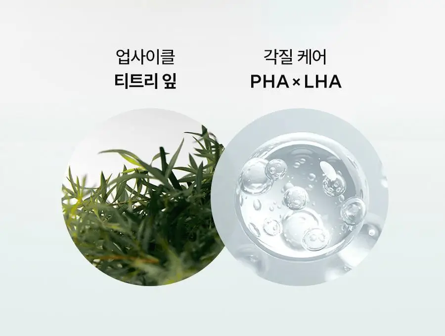[피지흡착/NEW] 아로마티카 슈퍼티트리 클레이 마스크 팩 클렌저 150ml 상세페이지 14
